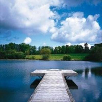 фото отеля Domaine des Etangs Hotel Massignac
