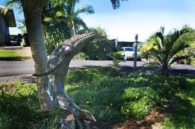 фото отеля Alstonville Country Cottages