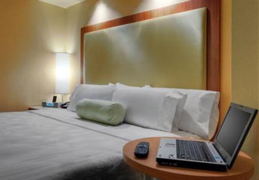 фото отеля Springhill Suites Baton Rouge North/Airport