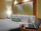 фото отеля Springhill Suites Baton Rouge North/Airport