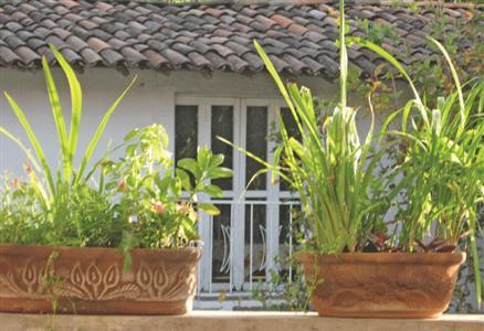 фото отеля Hotel La Casona Temazcal