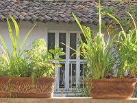 Hotel La Casona Temazcal