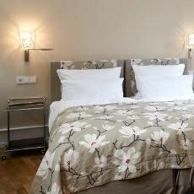 фото отеля Hotel Restaurant & Vinothek Eltvinum