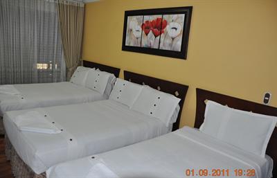 фото отеля Hotel Salitre Rugal