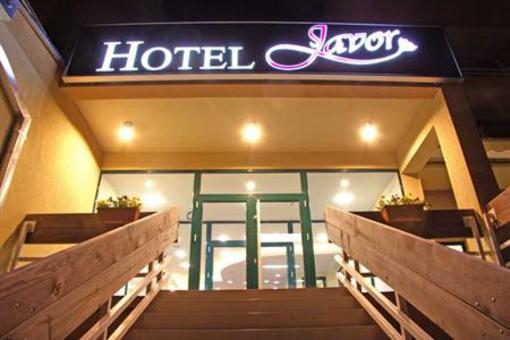 фото отеля Hotel Javor Kusici