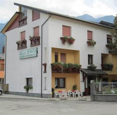фото отеля Albergo Alla Pineta Villa Santina
