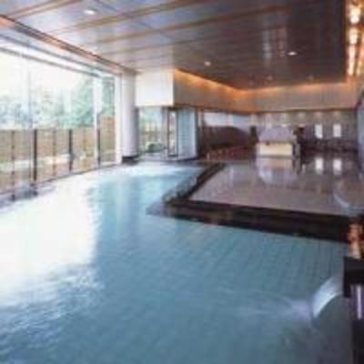 фото отеля Shitakirisuzume No Oyado Hotel Isobe Annaka