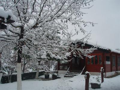 фото отеля Tetrapolis