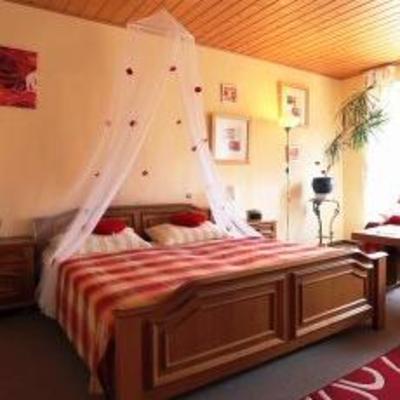 фото отеля Henblas Hotel