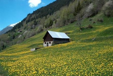 фото отеля Hotel Forni Airolo