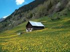 фото отеля Hotel Forni Airolo