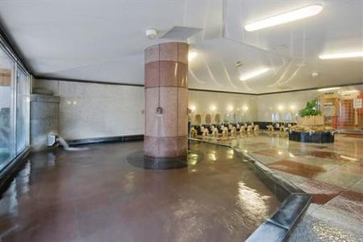 фото отеля Hotel Tsubakikan