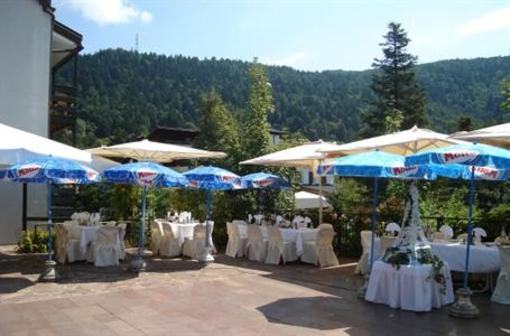 фото отеля Hotel Faedo Pineta