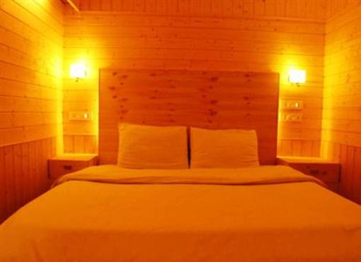 фото отеля Hotel Mirage Srinagar