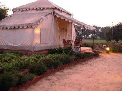 фото отеля Orchard Tents Pushkar