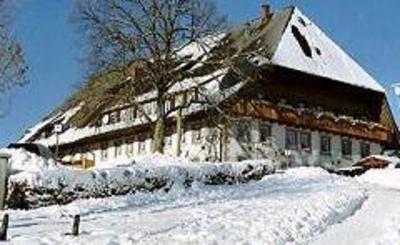 фото отеля Hotel Schwarzwald Zur Traube Waldau Titisee-Neustadt