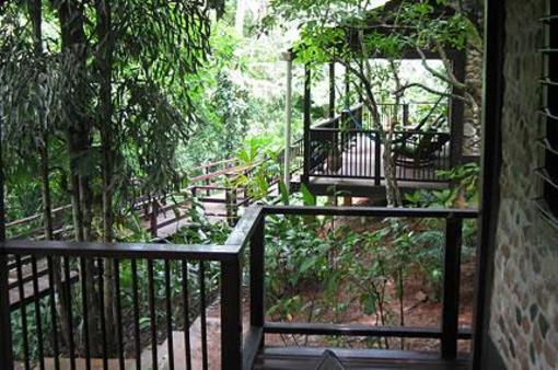 фото отеля Duplooys Jungle Lodge San Ignacio