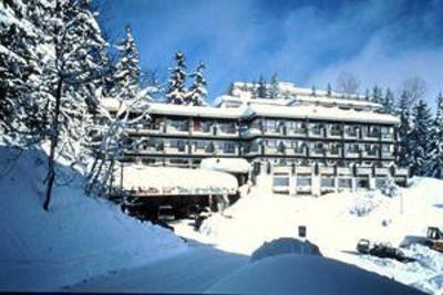 фото отеля Hotel De la Foret Crans-Montana