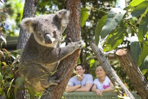 фото отеля Couran Cove Island Resort Gold Coast