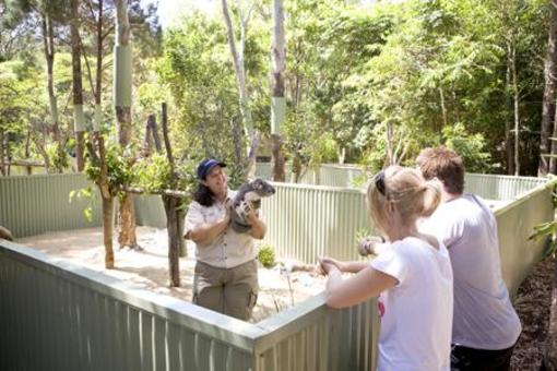 фото отеля Couran Cove Island Resort Gold Coast
