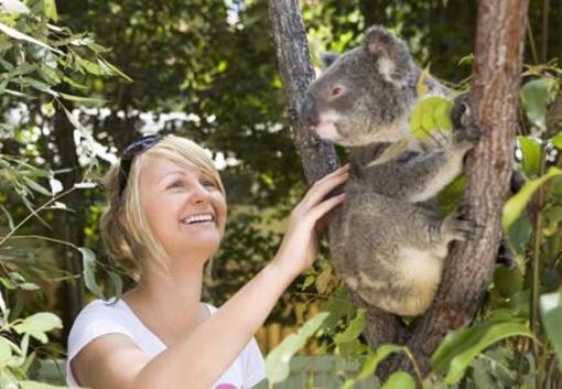 фото отеля Couran Cove Island Resort Gold Coast