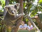 фото отеля Couran Cove Island Resort Gold Coast
