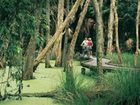 фото отеля Couran Cove Island Resort Gold Coast