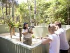 фото отеля Couran Cove Island Resort Gold Coast