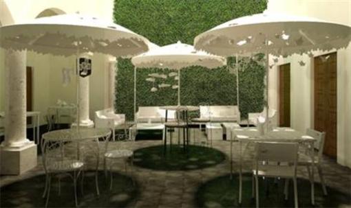 фото отеля Del Carmen Concept Hotel