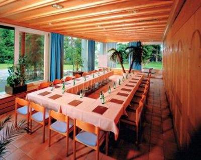 фото отеля Hotel des Alpes Flims