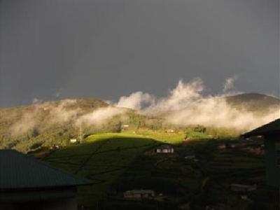 фото отеля Misty Hills Cottage