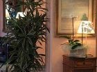 фото отеля Hotel Vittoria Sondrio