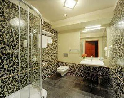фото отеля Hotel Wilenski