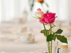 фото отеля Hotel Aigner Bonn