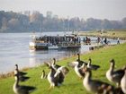 фото отеля Schloss Hotel Dresden Pillnitz