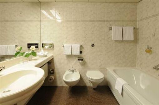 фото отеля Maritim Hotel Koenigswinter