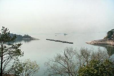 фото отеля Warm Island Lake Resort Hangzhou