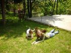 фото отеля Sunny pension