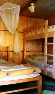 фото отеля Bananas Hotel