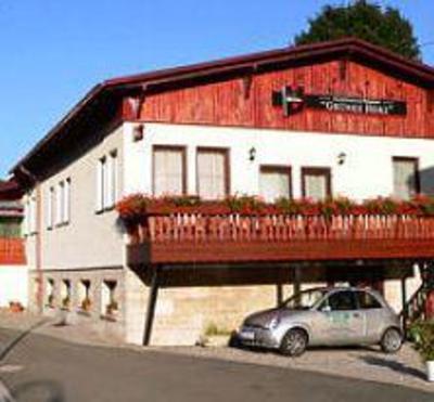 фото отеля Gasthaus & Pension Grunes Herz