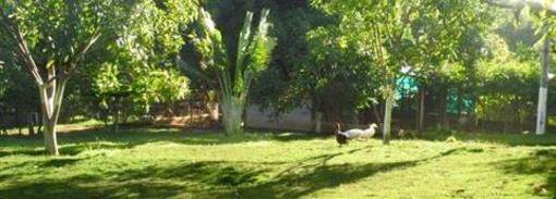 фото отеля Hostel La Milagrosa