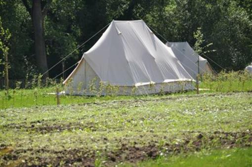 фото отеля Glamping Ecochique