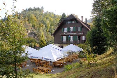 фото отеля Waldhotel Forellenhof