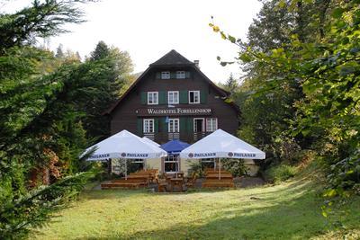 фото отеля Waldhotel Forellenhof