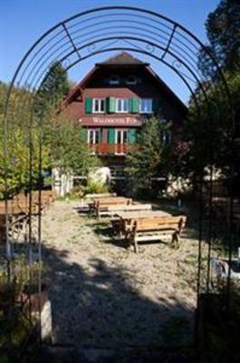 фото отеля Waldhotel Forellenhof