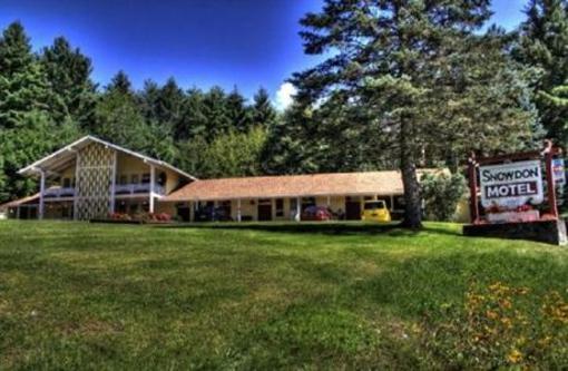 фото отеля Snowdon Motel