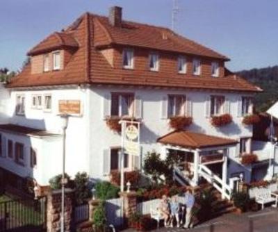 фото отеля Hotel Irene Bad Konig