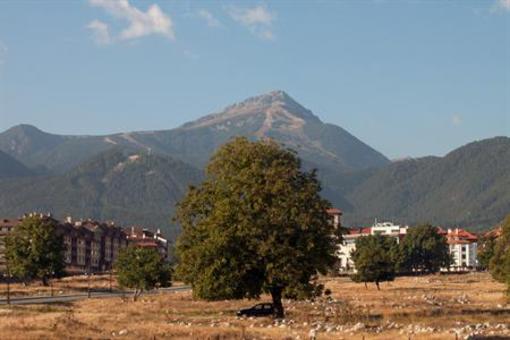 фото отеля Hotel Alex Bansko