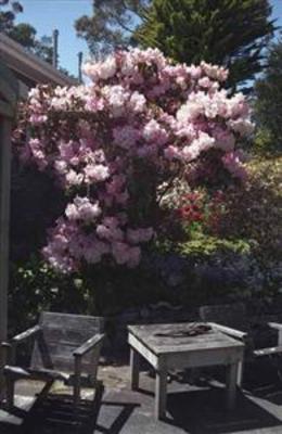 фото отеля Tan-Y-Bryn Cottages Hobart