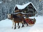 фото отеля Impuls Hotel Tirol Bad Hofgastein